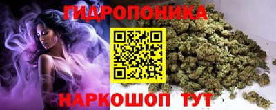 скорость Новодвинск