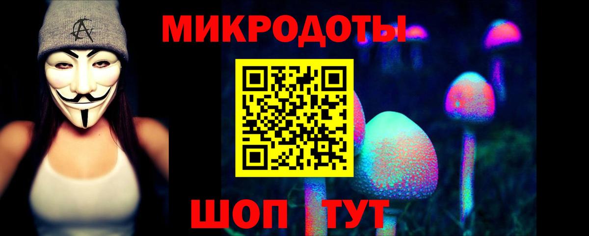 Псилоцибиновые грибы GOLDEN TEACHER Сланцы