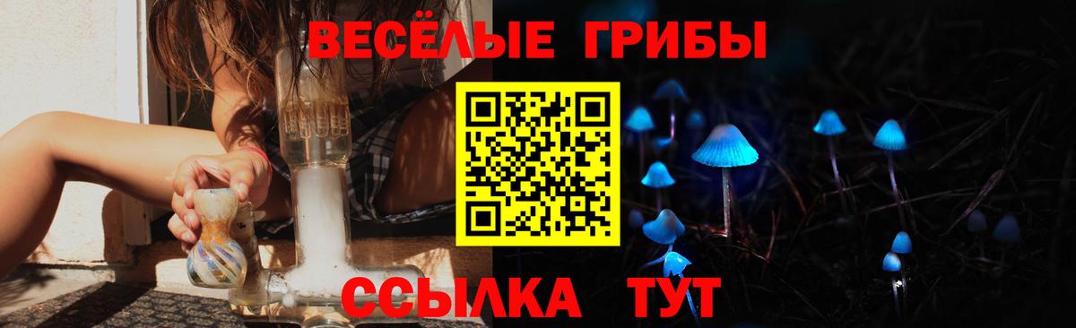 Галлюциногенные грибы прущие грибы  Вход с VPN  Сланцы 