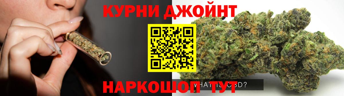 Шишки марихуана план  Канабис индика  Канабис White Widow  Вход с VPN  Сланцы 